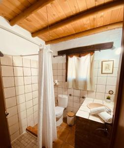 une salle de bains avec toilettes, lavabo et douche dans l'établissement Casa Rural Privada Arenosos, à Pruna
