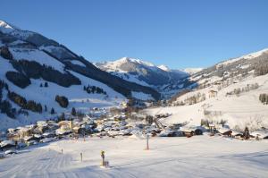Alpenappartements Domicil include Jokercard v zime