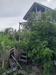 En have udenfor Slow local living