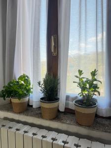 Billede fra billedgalleriet på Il portico del Lago i Varese