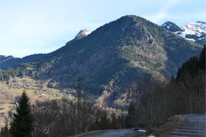 Naturlandskabet i nærheden af lejligheden
