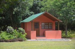 ein kleines rotes Haus mit einem grünen Dach im Hof in der Unterkunft Bushbaby Lodge & Camping in Hluhluwe