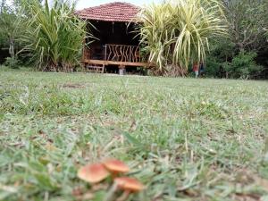 a field of grass with a house in the background at Echo retreat in Tangalle +3 photos