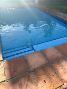 a swimming pool with blue tiles in the water at The Berna in Cape Town