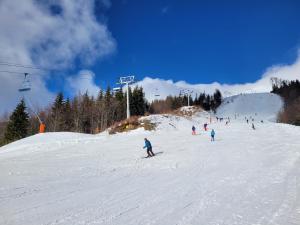 a group of people skiing down a snow covered slope at Apartmán Nicole in Tale