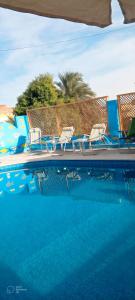 Bazén v ubytování Fadlos Anay Nubian Guesthouse فضلوس أناي nebo v jeho okolí