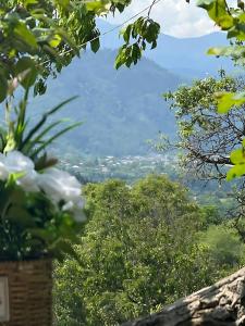 Příroda nedaleko apartmánu