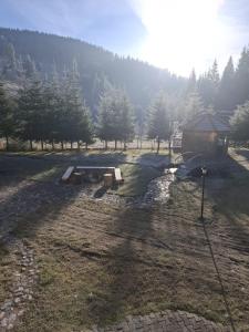 阿列謝尼鄉的住宿－Vila Apuseni，相簿中的一張相片