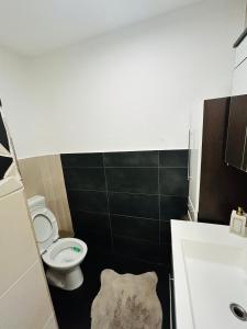 Koupelna v ubytování Elegant Studio in Gengenbach Old Town with Tower View + 3 fotografie