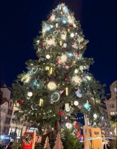 Fotografie z fotogalerie ubytování Ferienwohnung Naturpur v destinaci Rheinau
