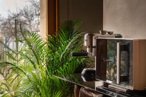 a mirror on a counter next to a plant at Séjour paisible près de Genève in Neydens