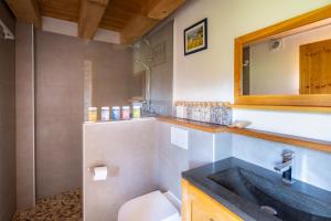 a bathroom with a sink and a toilet and a mirror at Séjour paisible près de Genève in Neydens +31 photos