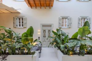 a hallway with plants in front of a building at Onora Suites Nafplio in Nafplio