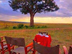 een tafel met flessen bier die midden in een veld staat bij Humble Resort in Masai Mara