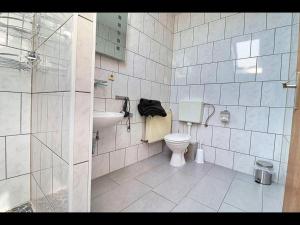 un bagno bianco con un water e un lavandino di Seeblick Hotel-Ferienhaus- Obermaubach a Kreuzau Altre 12 foto