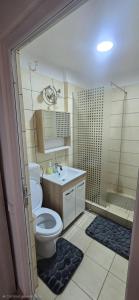 ein Badezimmer mit Toilette, Waschbecken und Dusche in der Unterkunft Apartament Central in Câmpina