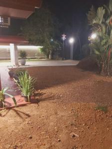 Ein Park bei Nacht mit einigen Pflanzen am Boden in der Unterkunft Hotel SERENDIB INN in Panadura