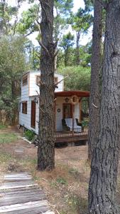 a white cabin in a forest with two trees at La tinyhouse del bosque in Mar Azul
