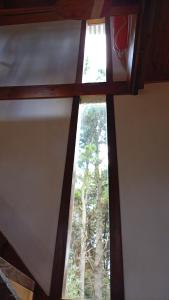 a window in a room with a tree at La tinyhouse del bosque in Mar Azul