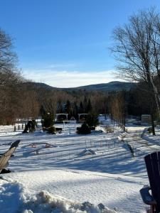 een met sneeuw bedekt veld met bomen en een hek bij Scenic Vista Inn in North Conway