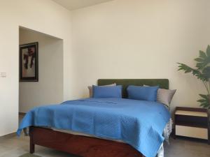 ein Schlafzimmer mit einem Bett mit blauen Decken und Kissen in der Unterkunft Sky Park Nest in Islamabad