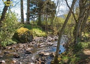 een beek in het bos met rotsen en bomen bij Glen Clova Lodges in Inchmill
