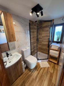 een badkamer met een douche, een toilet en een wastafel bij Spacerowy Zakątek in Ślemień +9 foto's