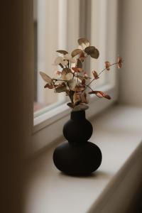 Afbeelding uit fotogalerij van Apartmány park in Poděbrady