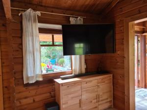 een flatscreen-tv in een blokhut met een raam bij Das Haus Kaninchenhöhle in Dankern