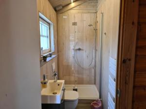 een badkamer met wastafel, douche en toilet bij Das Haus Kaninchenhöhle in Dankern +16 foto's