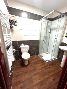 un bagno con wc e doccia in vetro di Logis Hôtel Les 200 Bornes a Pouilly-sur-Loire