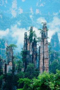 Naturlandskabet i nærheden af hotellet