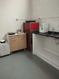 een keuken met een aanrecht en een magnetron. bij Alojamento seu Jorge in Campinas