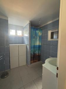 a bathroom with a shower and a sink and a tub at Maison Éléphantaisie in Salies-de-Béarn +12 photos