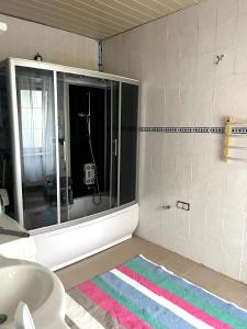 une salle de bain avec un lavabo et une douche avec un miroir dans l'établissement Stadtwohnung Bruck an der Mur, à Bruck an der Mur