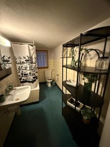 Kuchyň nebo kuchyňský kout v ubytování LaVida Wave Lakeside Haven Interlaken + 45 fotografií