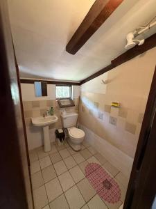 een badkamer met toilet en wastafel bij Cabaña Virginia in Samaipata