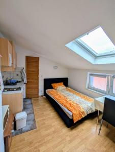 a bedroom with a bed with a skylight at Wohnung für 1-2 Personen im Herzen in Eisenach