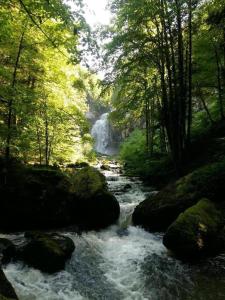 Billede fra billedgalleriet på L'Escapade gîte proche des Cascades du Hérisson i La Celle-sous-Gouzon