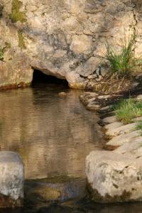 Gallery image of Campagne de la source St Martin B&B in Cotignac