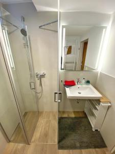a bathroom with a sink and a shower at Ferienwohnung An der Pferdsweide in Trier