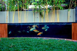 een groot aquarium met een vis in het water bij Palm Wave Beach Resort in Cochin +24 foto's