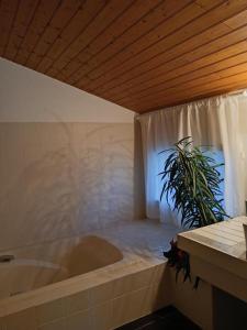 e bagno con vasca e pianta di Location à l Océan a Grayan-et-lʼHôpital