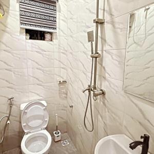 um banheiro com chuveiro, vaso sanitário e pia em Deluxe One Bedroom Apartment em Ikeja