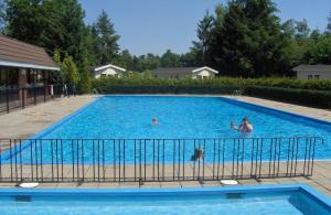 a group of people swimming in a swimming pool at Boshuis 40 in Epe