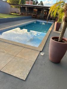 - une piscine avec un palmier à côté d'une maison dans l'établissement Cabañas Luna, 