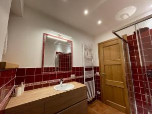 een badkamer met een wastafel en een spiegel bij Luna Rossa Dolomiti in Domegge di Cadore +30 foto's