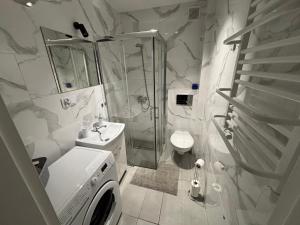 Koupelna v ubytování Apartamenty Przy Rynku Gąsawa/Biskupin + 34 fotografií