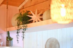 een plank met borden en planten erop in een keuken bij Garden Apartment in Flachau
