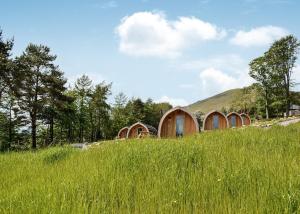 une rangée de cabanes en bois dans un champ d'herbe dans l'établissement Lowside Farm Glamping, à Troutbeck